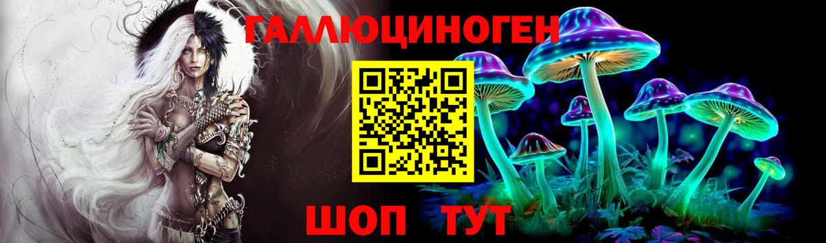 Галлюциногенные грибы Psilocybine cubensis  купить закладку  Зеленокумск  Вход с VPN 